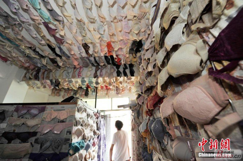 一<em>男子</em>收集5000<em>文胸</em>,来自全国30多所高校的女