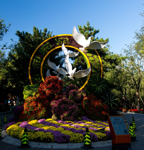 �����  ������ĺɫ�еĴ��˺���